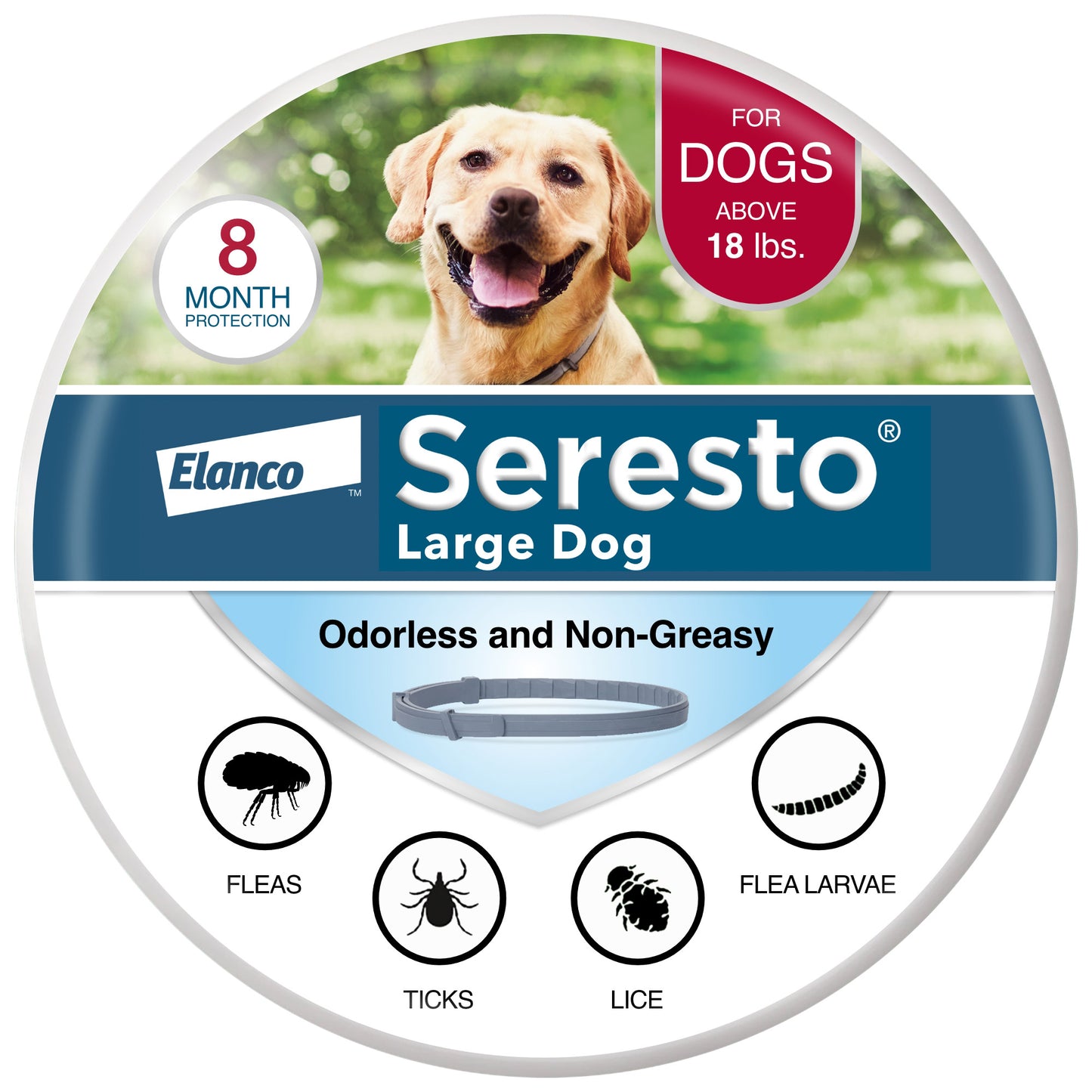 Flea and Tick Collar for Dogs over 18 Lbs, 8 Month Prevention