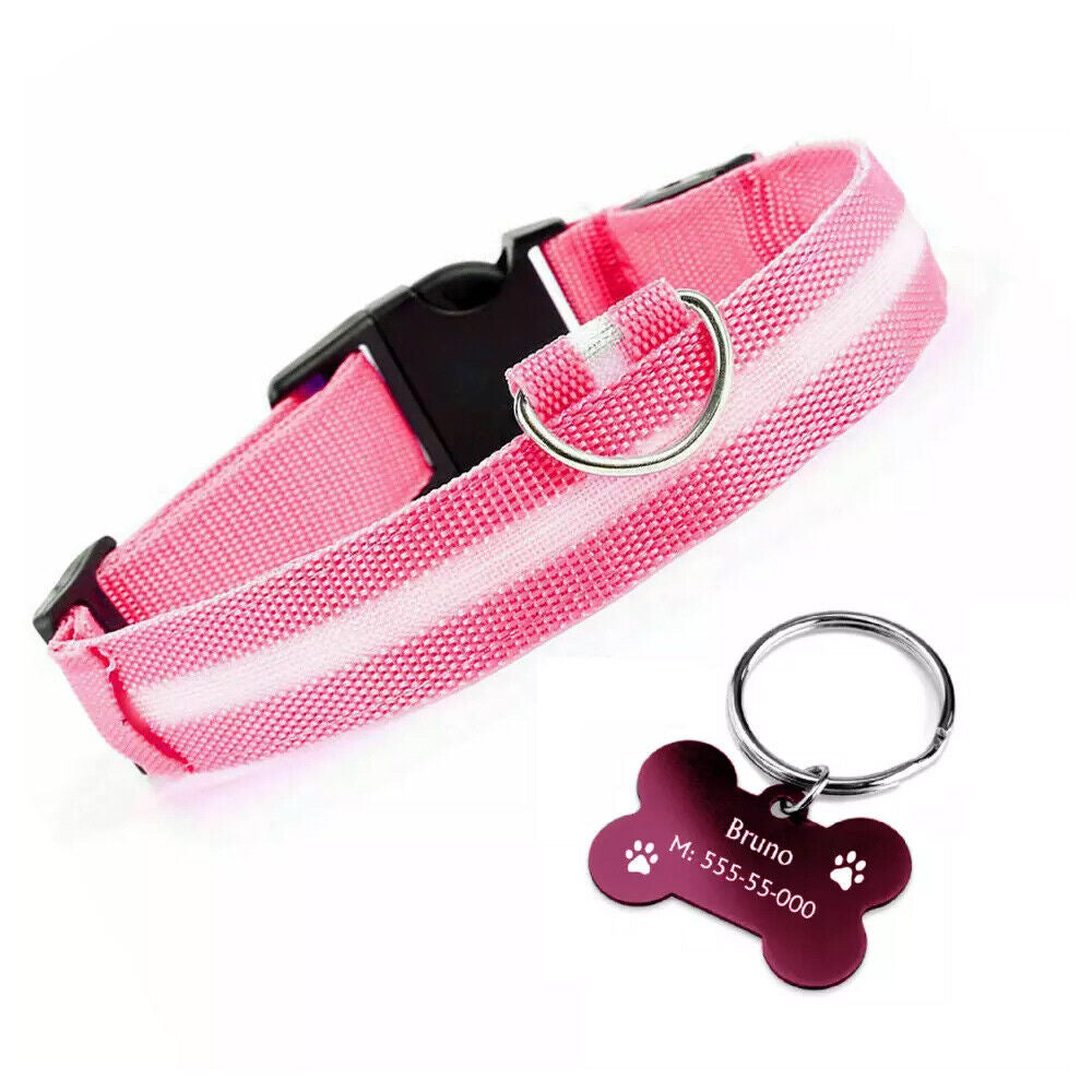 LED Dog Collar USB Rechargeable Flashing Luminous Safety Light Nylon Pet Collar