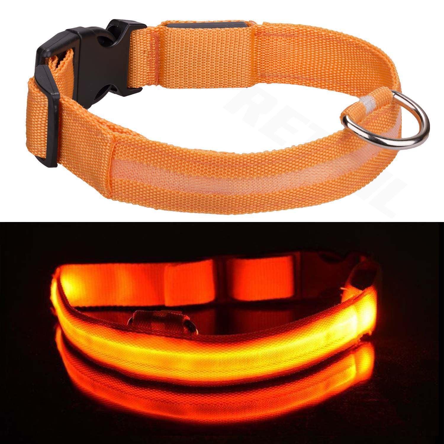 Light up LED Dog Collar Adjustable USB Rechargeable Pet Safety Luminous ALL SIZE