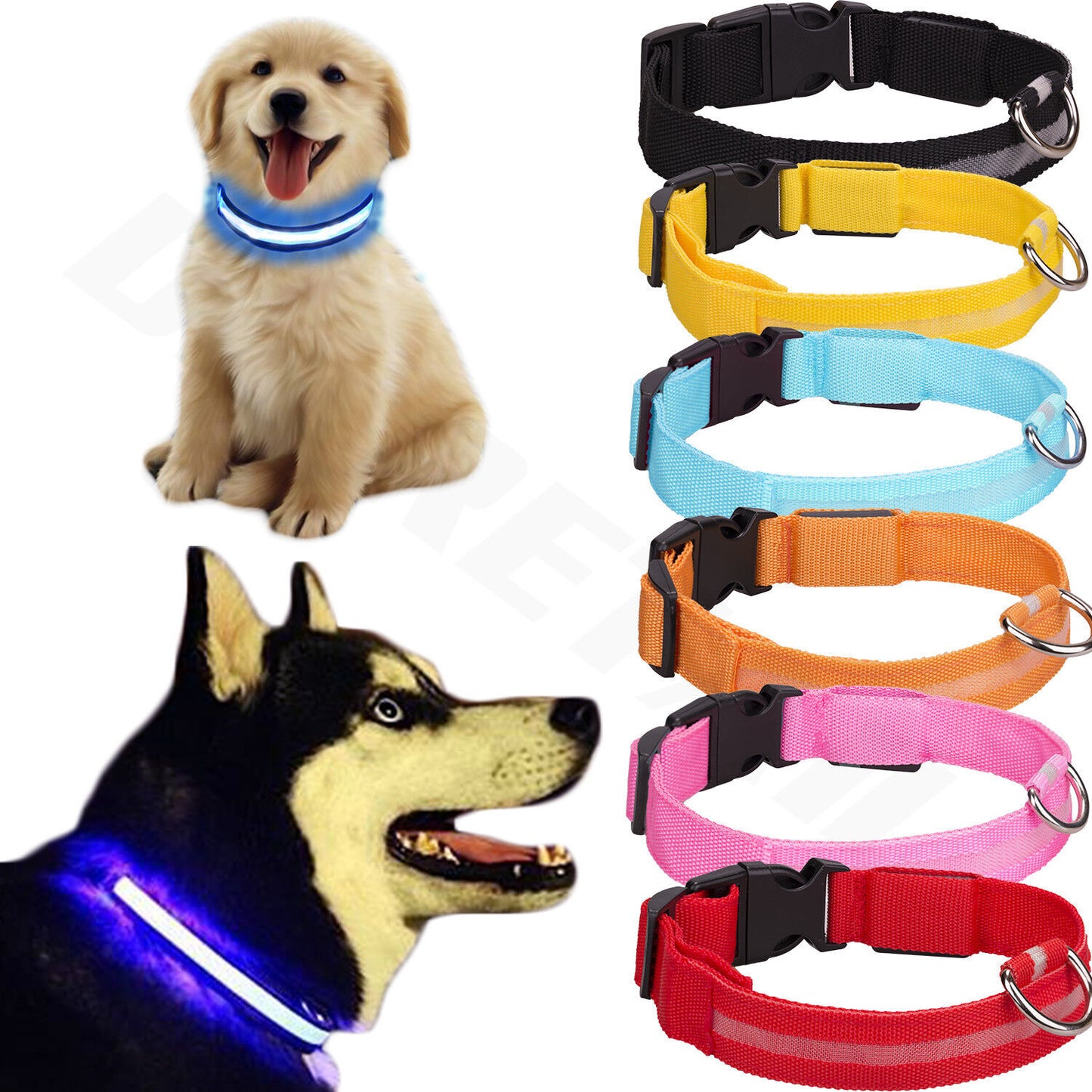 Light up LED Dog Collar Adjustable USB Rechargeable Pet Safety Luminous ALL SIZE