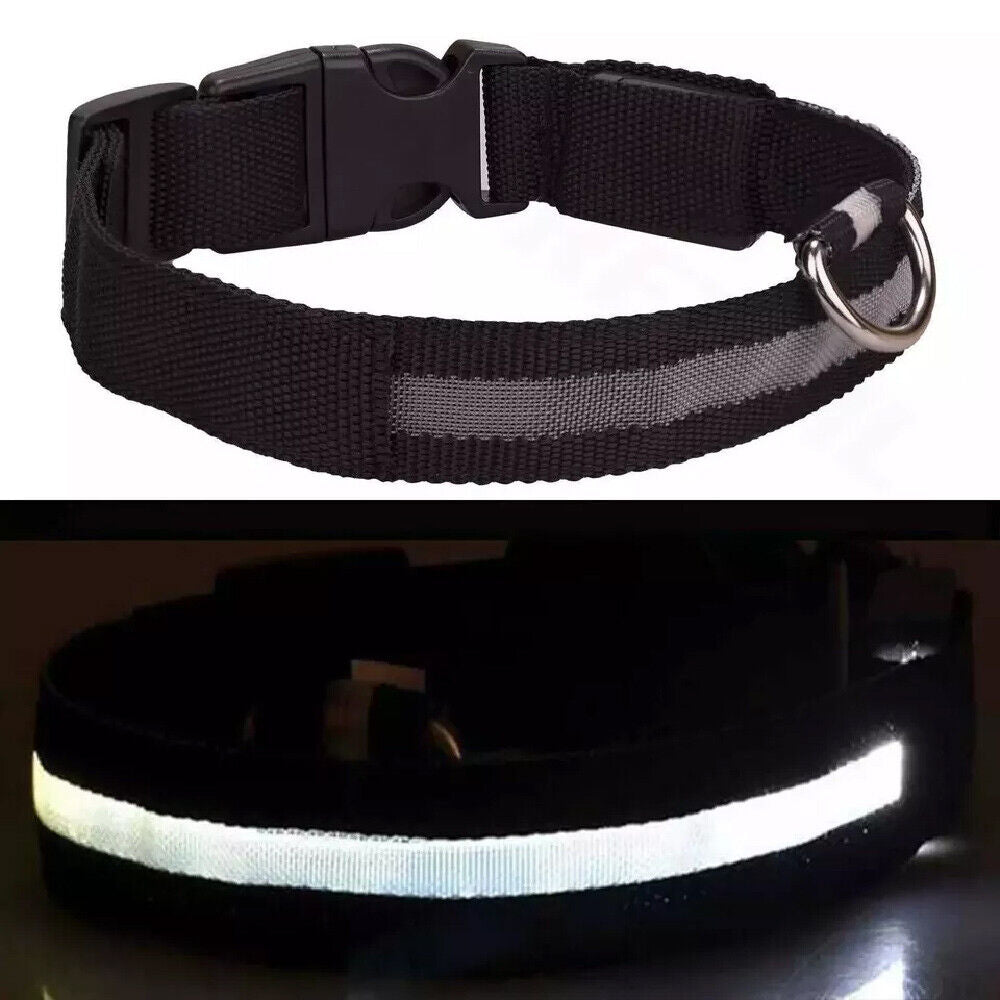 LED Dog Collar USB Rechargeable Flashing Luminous Safety Light Nylon Pet Collar