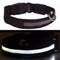 LED Dog Collar USB Rechargeable Flashing Luminous Safety Light Nylon Pet Collar