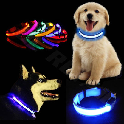 Light up LED Dog Collar Adjustable USB Rechargeable Pet Safety Luminous ALL SIZE