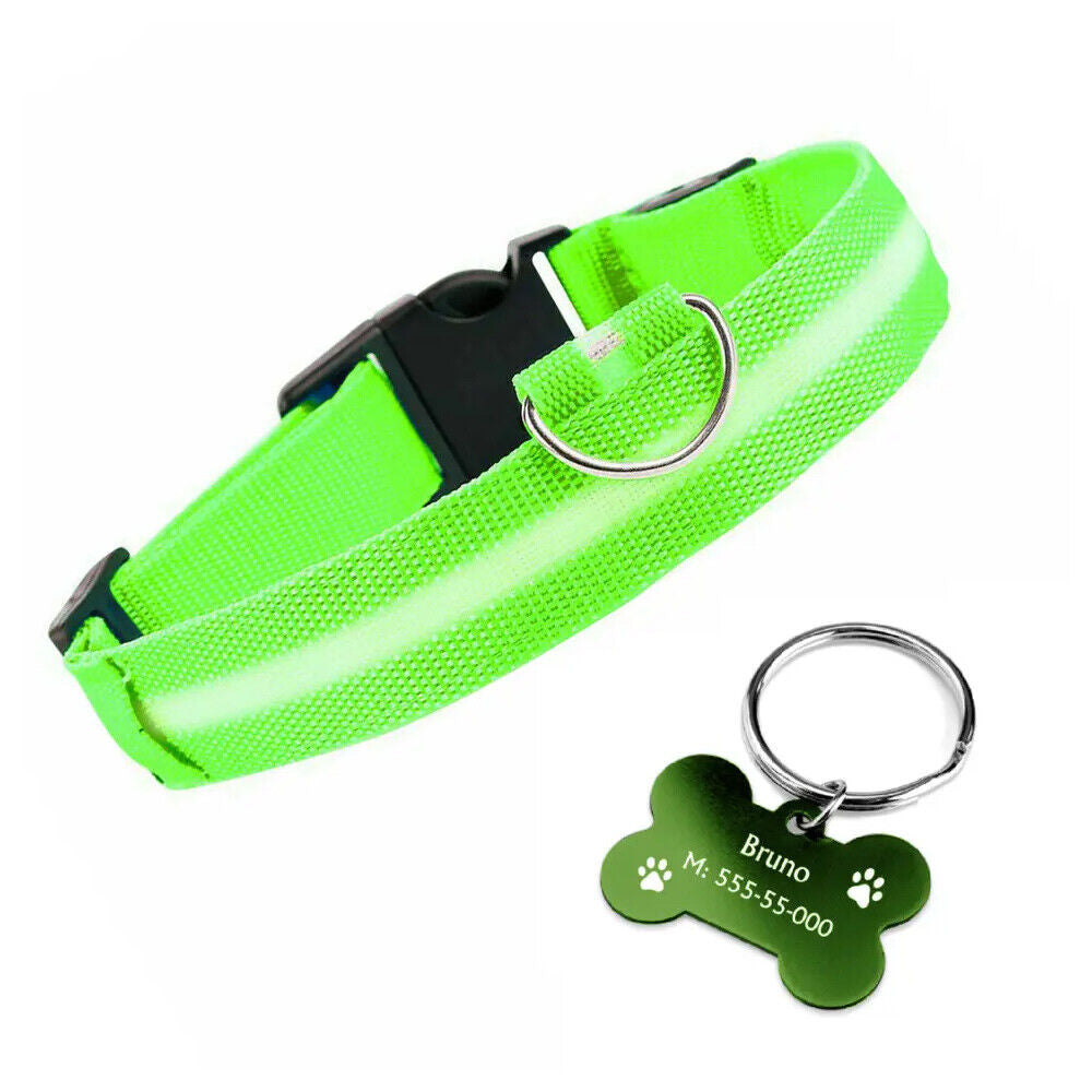 LED Dog Collar USB Rechargeable Flashing Luminous Safety Light Nylon Pet Collar