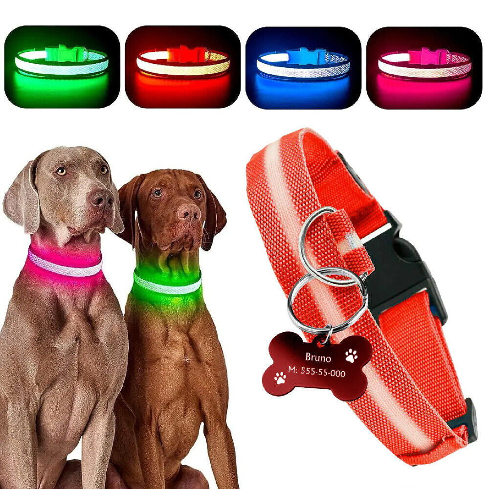 LED Dog Collar USB Rechargeable Flashing Luminous Safety Light Nylon Pet Collar