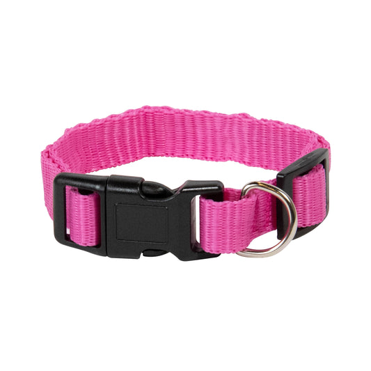 Medium Pink Collar for Dogs