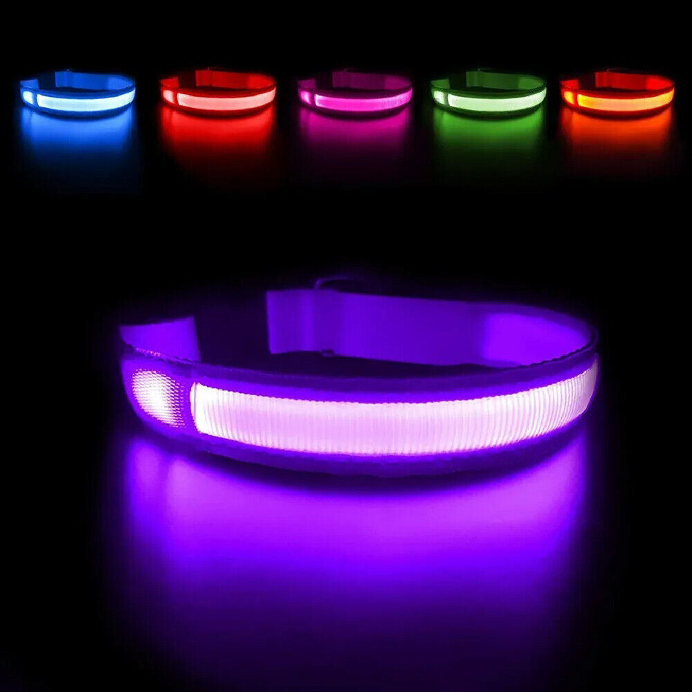 LED Dog Collar USB Rechargeable Flashing Luminous Safety Light Nylon Pet Collar