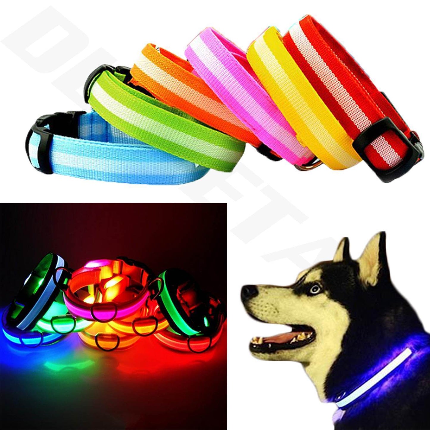 Light up LED Dog Collar Adjustable USB Rechargeable Pet Safety Luminous ALL SIZE