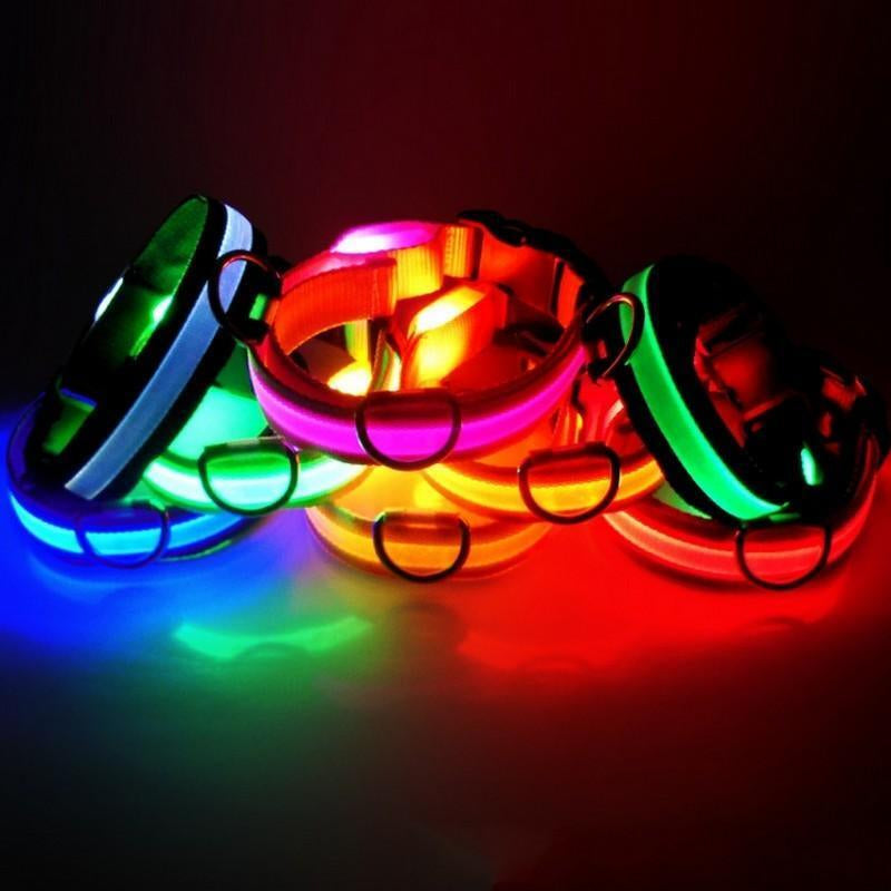 Light up LED Dog Collar Adjustable USB Rechargeable Pet Safety Luminous ALL SIZE