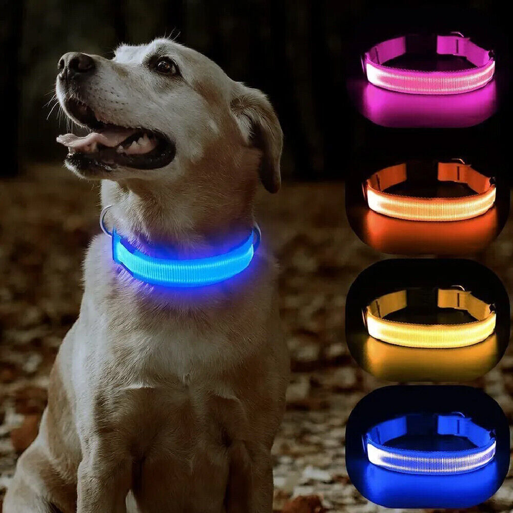 LED Dog Collar USB Rechargeable Flashing Luminous Safety Light Nylon Pet Collar